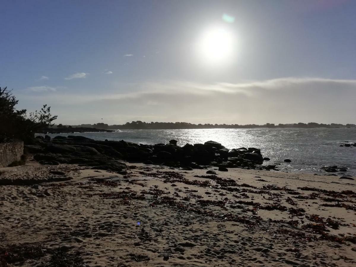 Les Roches Du Cabellou 150M De La Mer Concarneau Zewnętrze zdjęcie